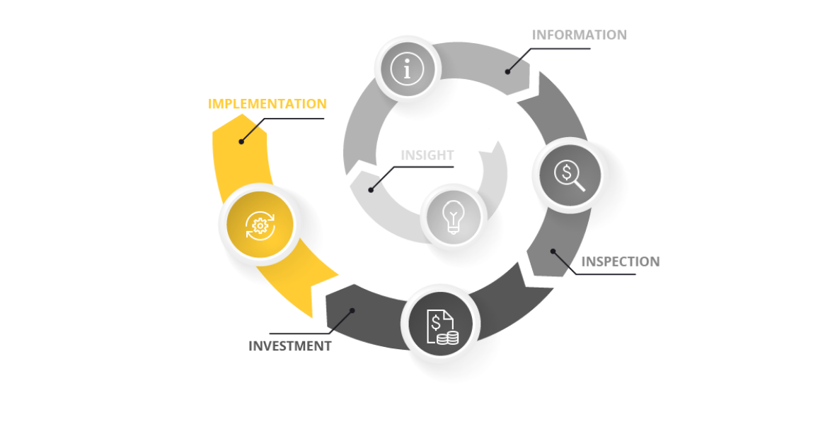 Ciclo SNAIL: Informação, Inspeção, Investimento, Implementação e, no centro, Insight